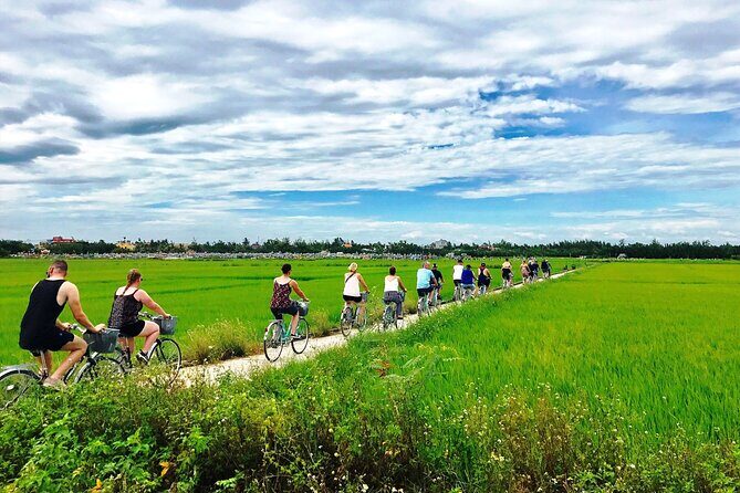 3 Hours Hoi An Countryside Bicycle Tour - Shrimp and fish farms, animals on rural roads, and the Driftwood Village stop