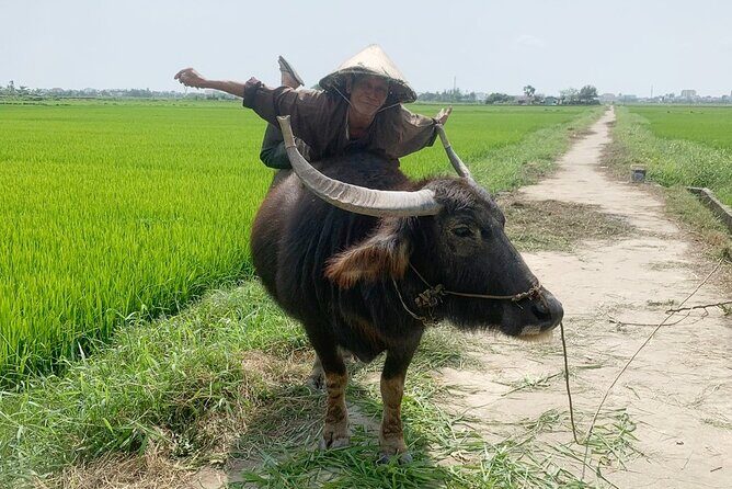 3 Hours Hoi An Countryside Bicycle Tour - Timing, pacing, and what 3 hours really means