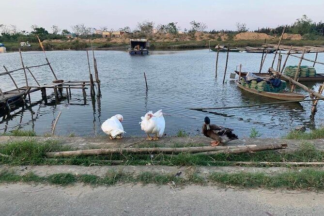 3 Hours Hoi An Countryside Motorbike Tour - The Best Way to Photograph This Day Without Feeling Rushed