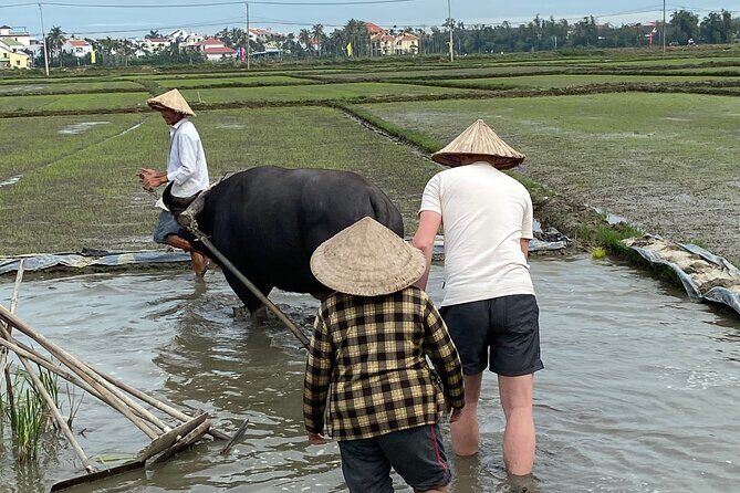 5-Hour Discovery Countryside by Cycling, Buffalo and Basket Boat - The bamboo basket boat: spinning energy and real rowing feel
