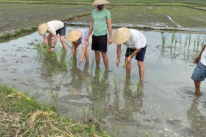 5-Hour Discovery Countryside by Cycling, Buffalo and Basket Boat - Water-palm coconut paradise and hands-on fishing learning