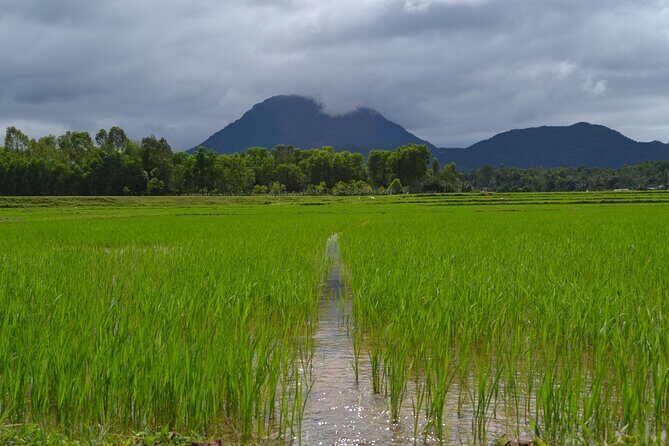 Adventure Bike Tour from Hoi An - Price and Value: Why $89 Feels Fair (If You Use What’s Included)