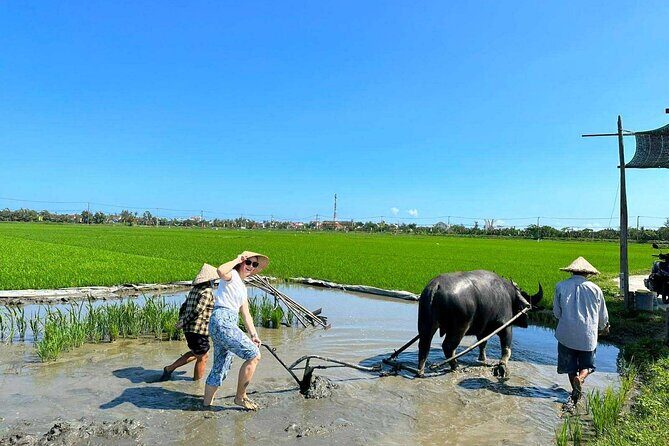 Authentic Hoi An: Explore Countryside with Locals - Duy Hai Fishing Village: stories, seafood trading, and real rhythm