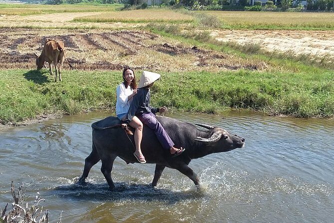 Buffalo riding and Basket Boat Half Day Tour - Price and Value: Why $20 Can Feel Like a Lot More