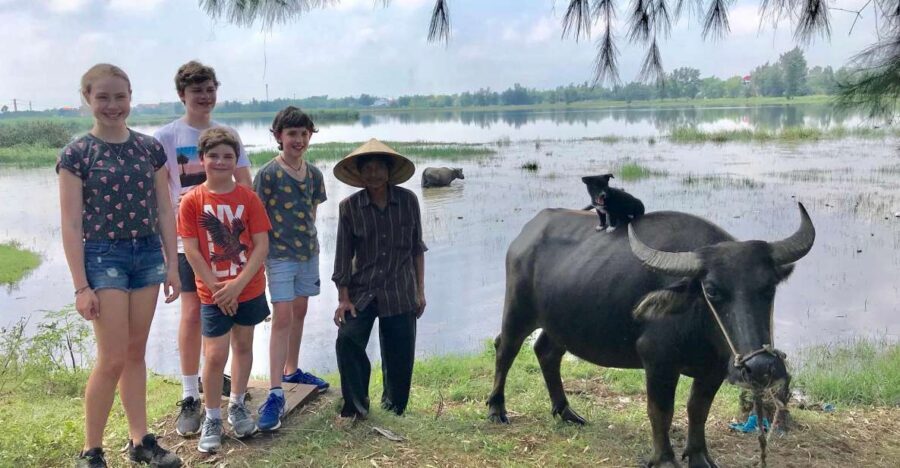Buffalo Riding, Basket Boat and Cooking Class: Hoian/Da Nang - Key Highlights You’ll Actually Remember
