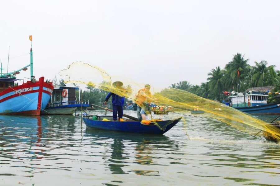 Buffalo Riding, Basket Boat and Cooking Class: Hoian/Da Nang - Buffalo Riding in the Rice Fields: A Real Countryside Moment