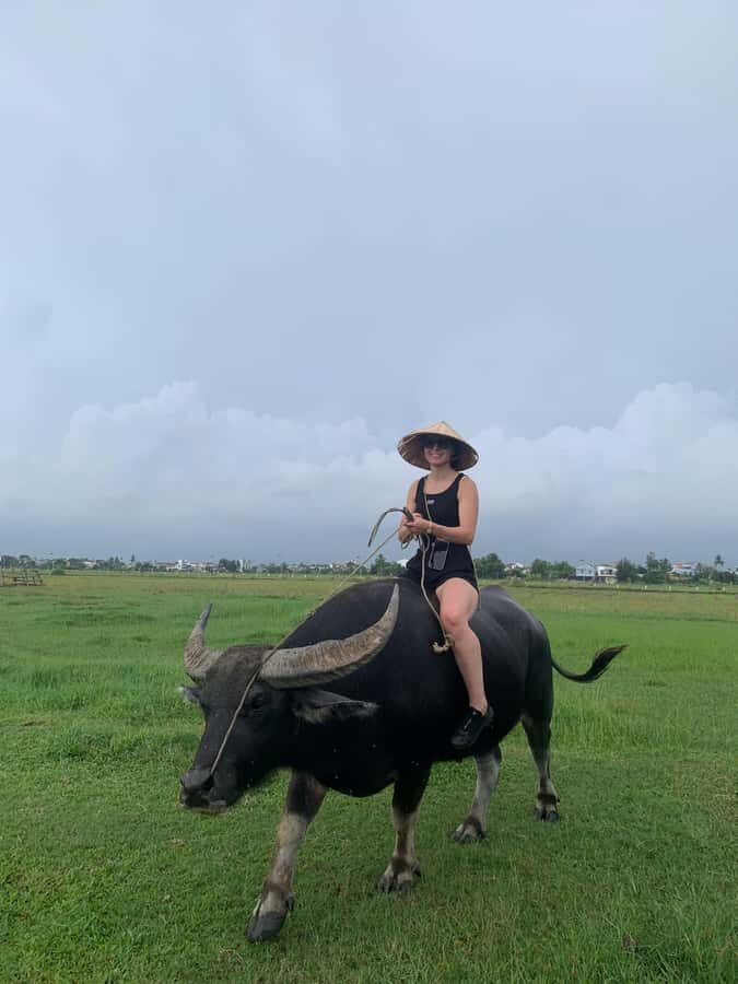 BUFFALO RIDING -BASKET BOAT & BIKE TOUR-HOI AN - Price and Value at $29: What Makes It Feel Worth It