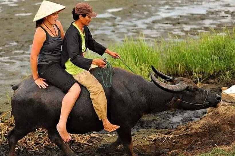 Buffaloe Riding/Ceramic/Cafe/Lantern Class/Basket Boat/Lunch - Key things you’ll notice on this Hoi An day