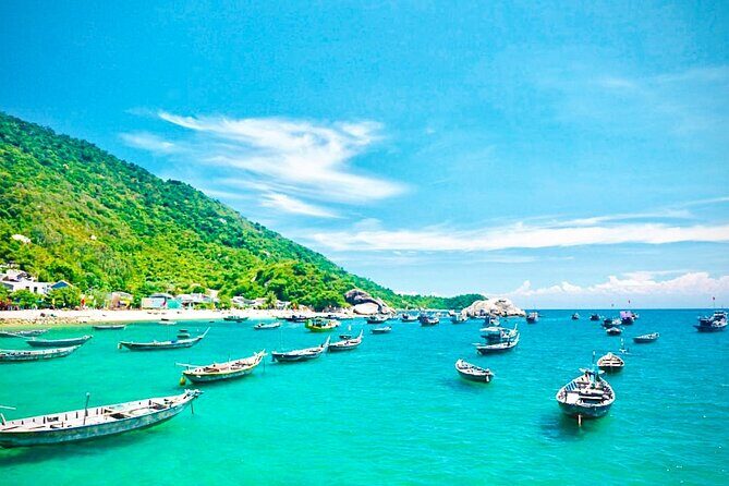 Cham Island Day Tour from Hoi An with Group tour - Seafood lunch included: what $35 really covers