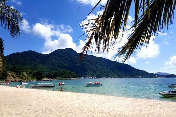 Cham Island Day Tour from Hoi An with Group tour - Timing, packing, and staying comfortable for 6.5 hours