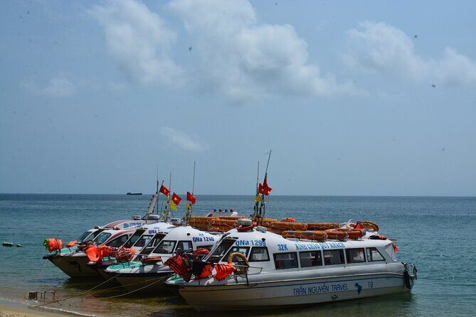 Cham Island Day Tour: Speed Boat, Lunch, Snorkeling & Beach - Hoi An Ancient Town stop: short time, use it for quick wins