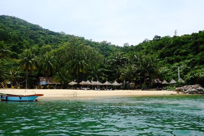 Cham Island Exploration Tour and Swimming with Local Guide - The Cham Jungle Restaurant seafood BBQ lunch: where the value shows