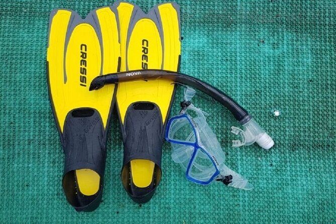 Cham Island Exploration Tour and Swimming with Local Guide - From Hoi An pickup to Cửa Đại: how the day starts
