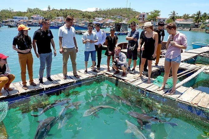 Cham Island Snorkeling Private Tour (Only Snorkeling & Beach) - Dai Island snorkeling: soft corals and colorful fish in about an hour