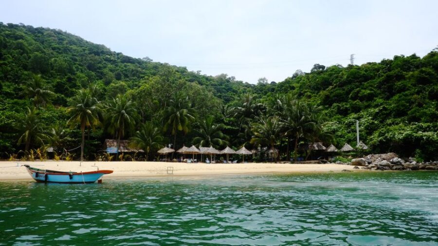 Cham Island: Snorkeling Tour - Small Group and the Tour Pace: Why That Matters on a Beach Day