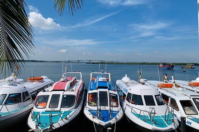 Cham Island Trip by Speed Boat including Snorkeling from Hoi An or Da Nang - Quick hits on the Cham Island speedboat day trip