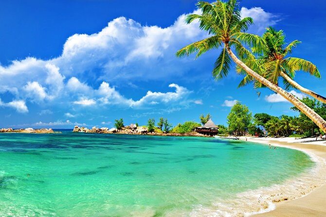 Cham Island Trip by Speed Boat including Snorkeling from Hoi An or Da Nang - Snorkeling in the UNESCO marine preserve: gear, time, and reality