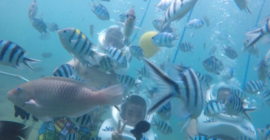 Cham Island: Underwater Walking & Snorkeling Tour - What You’re Actually Doing: Ocean-Floor Walking Without Scuba Skills
