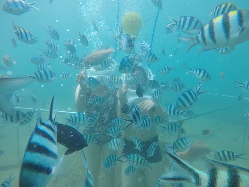 Cham Island: Underwater Walking & Snorkeling Tour - Bai Chong Beach Lunch: Seafood, Hammocks, and a Real Reset