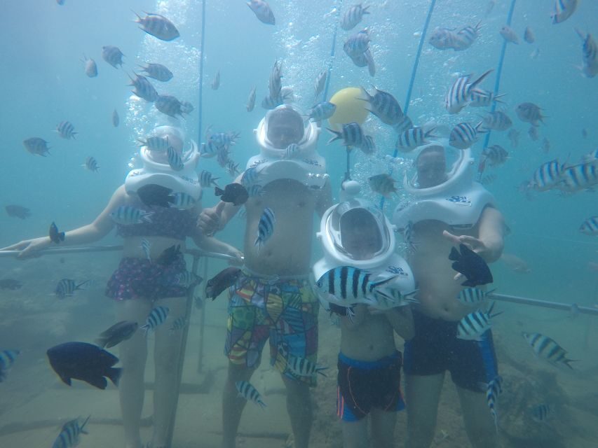 Cham Island: Underwater Walking & Snorkeling Tour - Cham Island Sea Life: What You’ll See (and How to Set Expectations)
