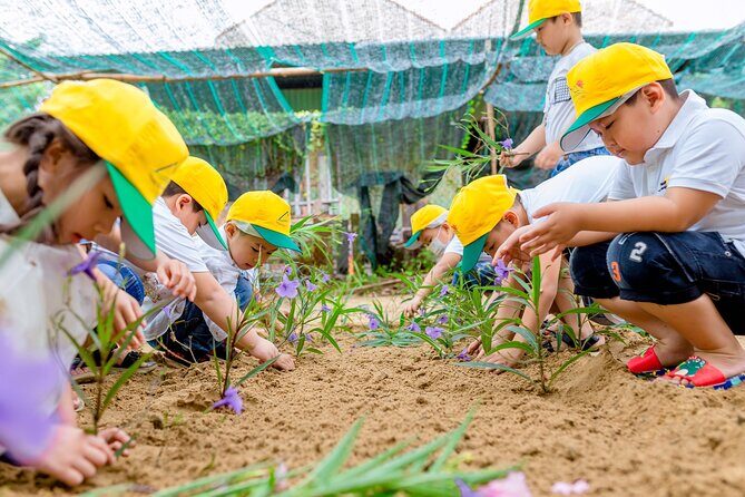 Cooking Class Hoi An - Organic Garden - Farming Tour-Handicrafts - Rice Paper and Cooking Time: How the Hands-On Session Really Works