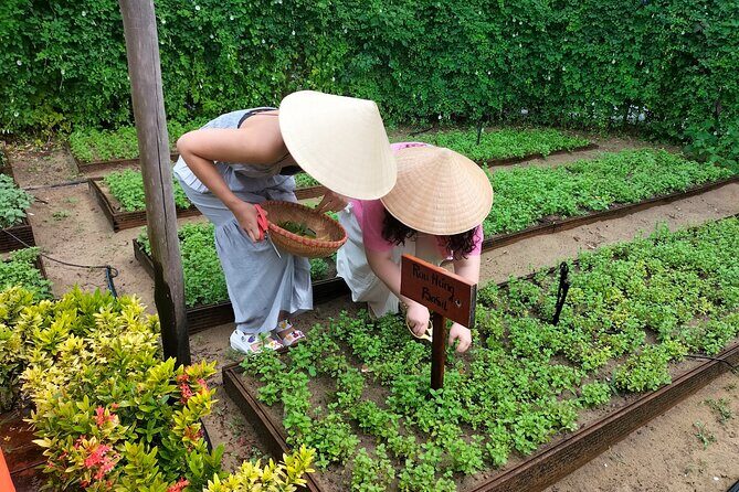 Cooking Class Hoi An - Organic Garden - Farming Tour-Handicrafts - What You’ll Cook: Local Dishes, Ingredient Choices, and Flex Options