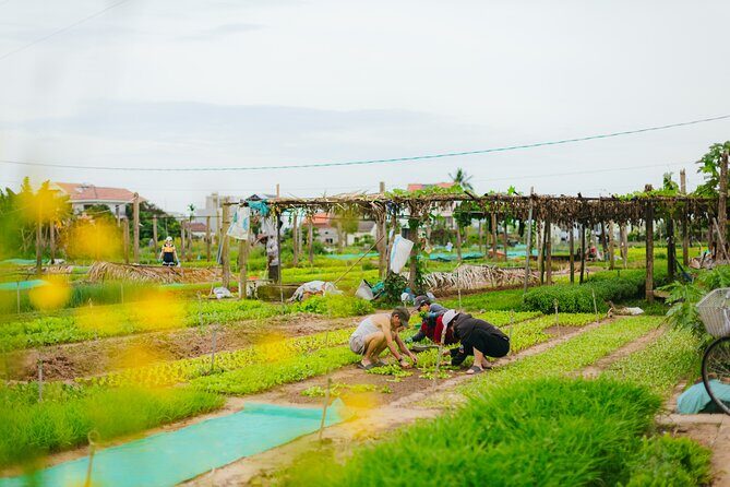 Countryside Adventure Private Tour by Electric Car - Neighbourhood Temples and Farming Life Beyond the Main Roads