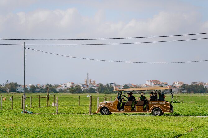 Countryside Adventure Private Tour by Electric Car - Rice Field Views and the Rural Roads That Feel Like a Local Shortcut