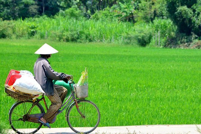Countryside Bicycle Tour from Hoi An - All Inclusive - From Town to Fields: Rice Paddies, Coconut Villages, and Thu Bon River Views