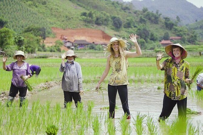 Countryside Bicycle Tour from Hoi An - All Inclusive - Who Should Book This Tour (and Who Might Want to Adjust Expectations)