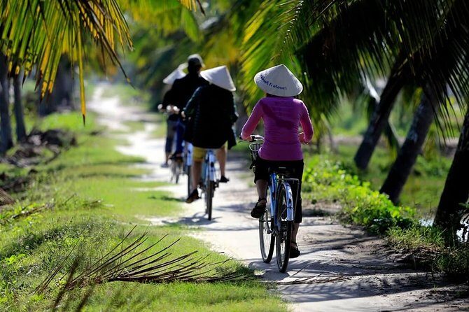 Countryside bike tour, basket boat and cooking class - Key Highlights You’ll Feel Fast