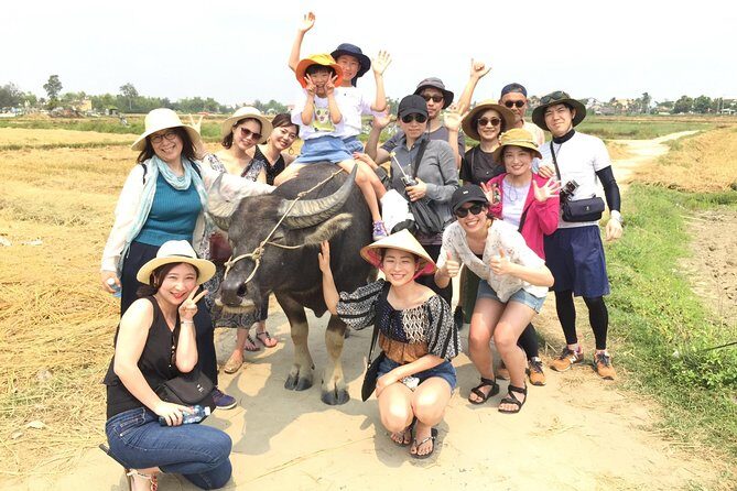 Cycling, Buffalo, Basket Boat ride in Hoi An - Riding from Hoi An toward Cam Thanh’s working countryside