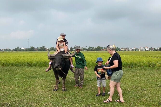 Da Nang City Tour, Marble Mountain, Coconut Boat, Hoi An Old Town - A Private Day Linking Da Nang Views to Hoi An Nights
