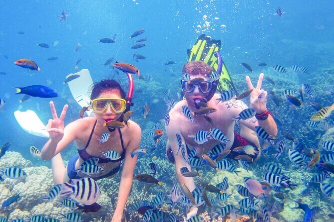 Da Nang/Hoi An: Cham Island Snorkeling, Sunbathing, Nice Beaches - Getting to Cua Dai Harbor: The Morning Flow
