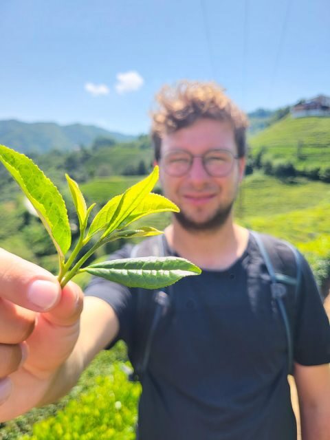Farming with Farmers at ancient vegetable Village "Tra Que" - Should you book Farming with Farmers at Tra Que?