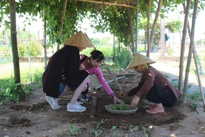 Farming with the Local Famers - Welcome Drinks to Vegetable Village: What You’ll Actually Do