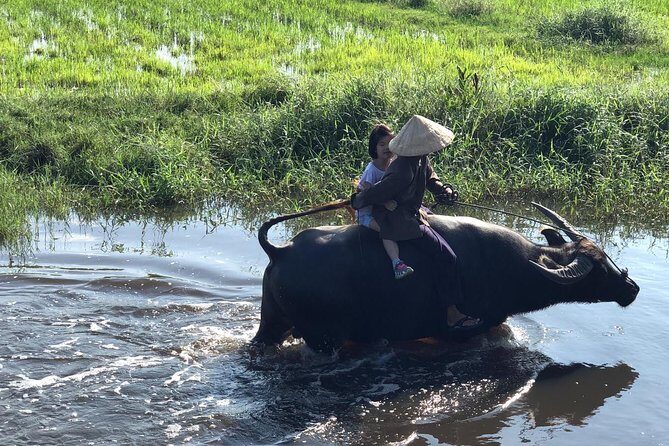 From AUTHENTIC FARMER'S LIFE to ECO RIVER FISHING EXPERIENCE - Buffalo Ride Chances in the Rice Fields: The Rural Reality Kids Love