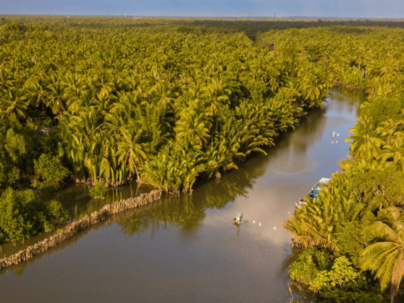From Ho Chi Minh: My Tho Ben Tre Mekong with Lunch - Key moments that shape the day