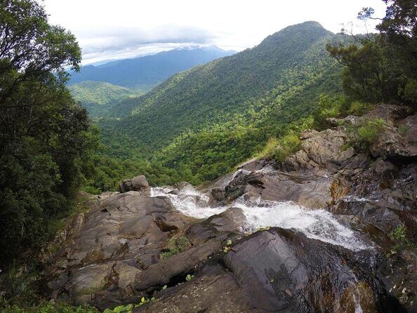 Full day: Hoi An - Bach Ma National Park - Quick takeaways before you go