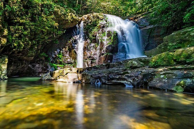 Full day: Hoi An - Bach Ma National Park - Morning forest walk: designated trails, biodiversity, and wildlife odds