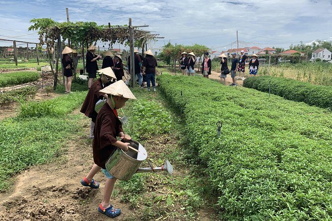 Full Experience Tour: Cooking Class & Basket Boat at Eco-Village - Tra Que Vegetable Village: Welcome Drinks and Farm-First Energy