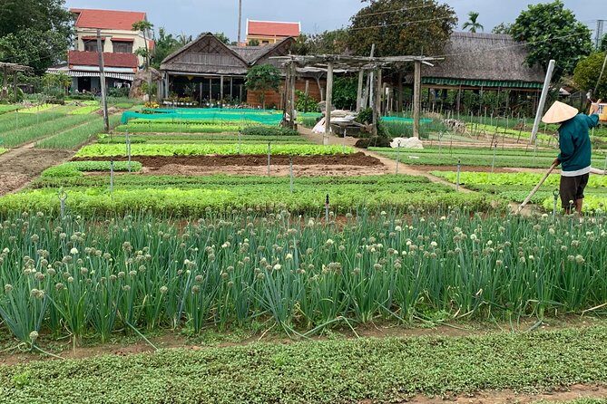 Full Experience Tour: Cooking Class & Basket Boat at Eco-Village - The Hands-On Farming Part: Buffalo, Planting, and Work You Can Feel