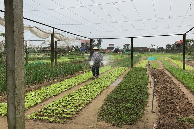 Gardening at Tra Que Vegetable Village and cooking class - Who this farm-and-cook day suits best