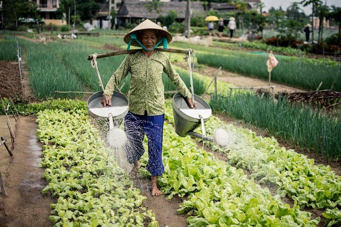 Half Day Cooking Class At Tra Que Vegetable Village Hoi An - From your hotel to Ba Le Market: the ingredient lesson you’ll use later