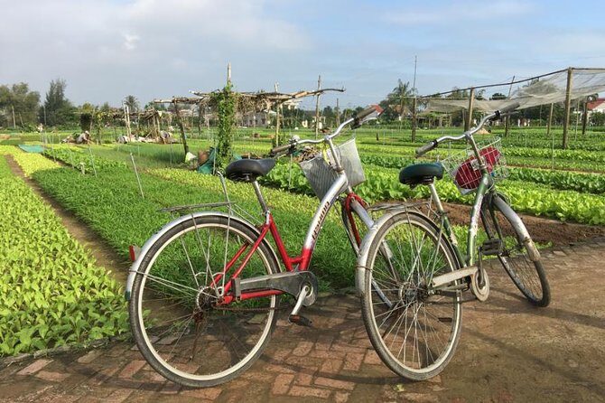 Half Day Cooking Class At Tra Que Vegetable Village Hoi An - Tra Que Vegetable Village: light farm work with traditional methods