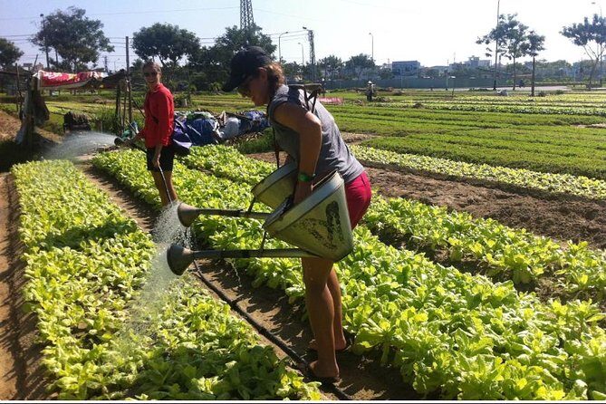 Half Day Cooking Class At Tra Que Vegetable Village Hoi An - Practical details that make the day smoother