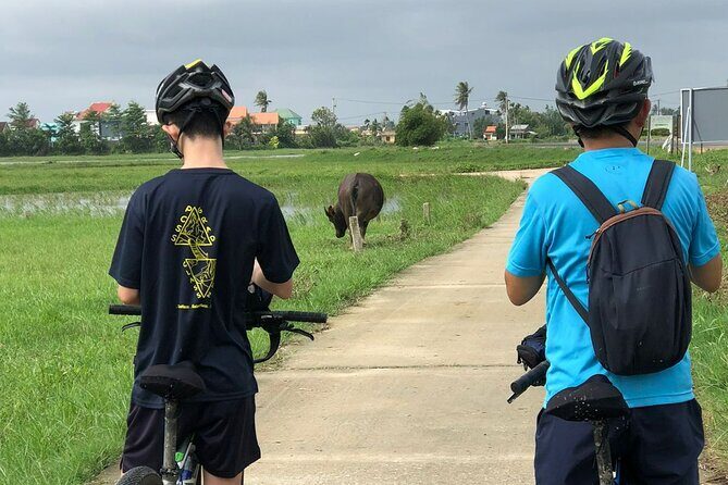Half-day Hoi An Countryside Bike Tour and Basket Boat with Lunch - Stop 4: Lò Mì Quảng Bà Tiễn Noodle Making + Banh Dap Cake Lunch