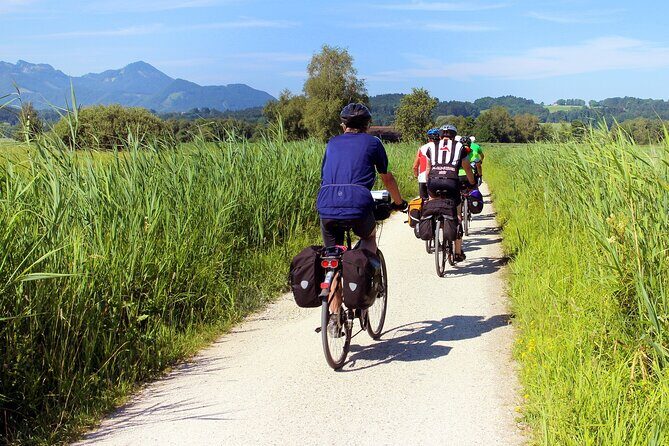 Half-day Hoi An Countryside Bike Tour and Basket Boat with Lunch - Stop 1: Cycling Toward Cam Kim Island (and What the Countryside Really Looks Like)