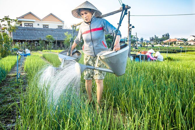 Half-day Hoi An Sunrise Or Sunset Photo Tour - Hoi An sunrise or sunset photos, without the stress