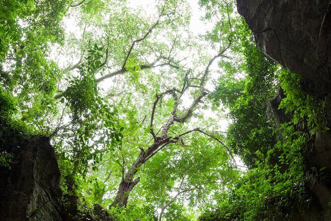 Half day Marble Mountain and Linh Ung Pagoda Tour - Food, comfort, and what to pack for this route